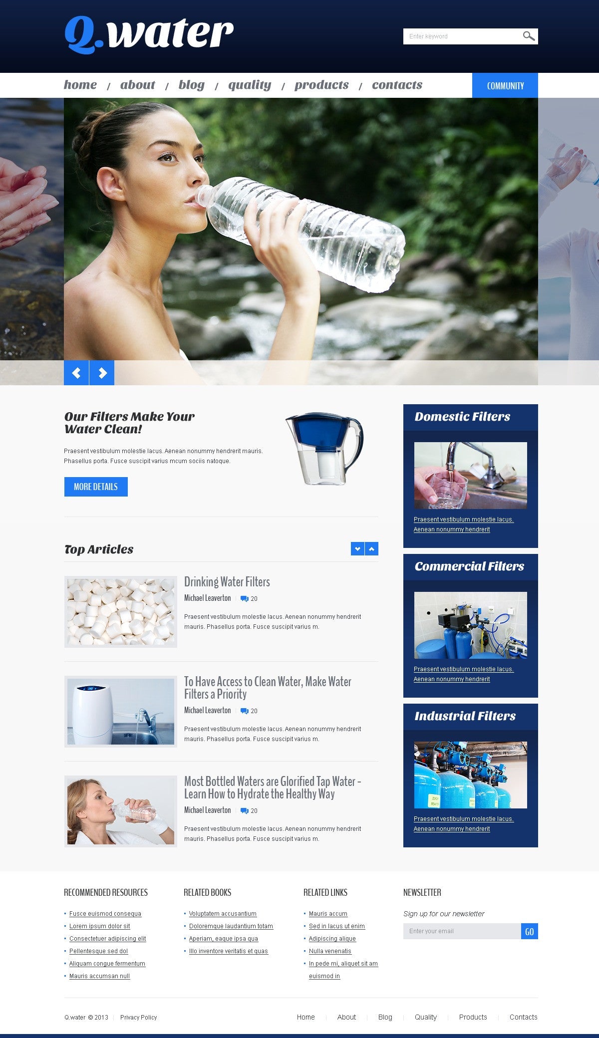 WordPress Themes - GoWebBaby.Com