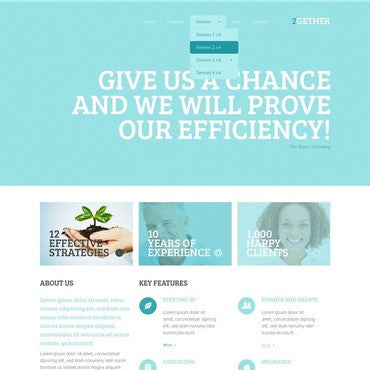 WordPress Themes - GoWebBaby.Com