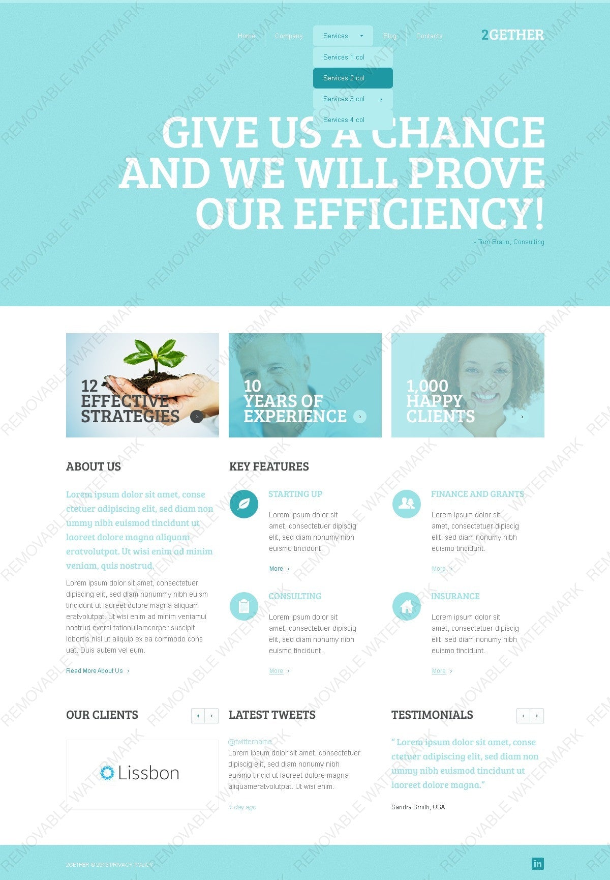 WordPress Themes - GoWebBaby.Com