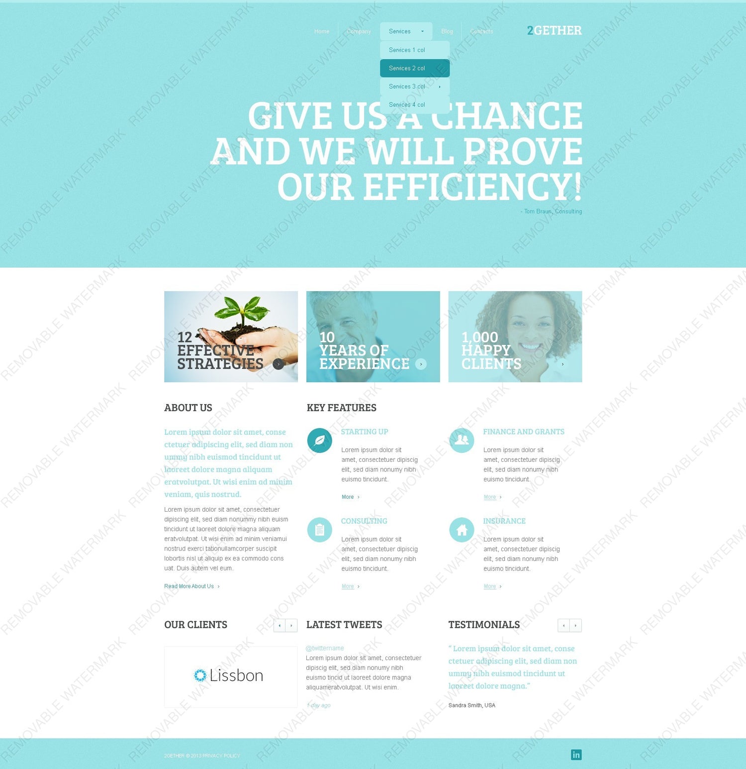 WordPress Themes - GoWebBaby.Com