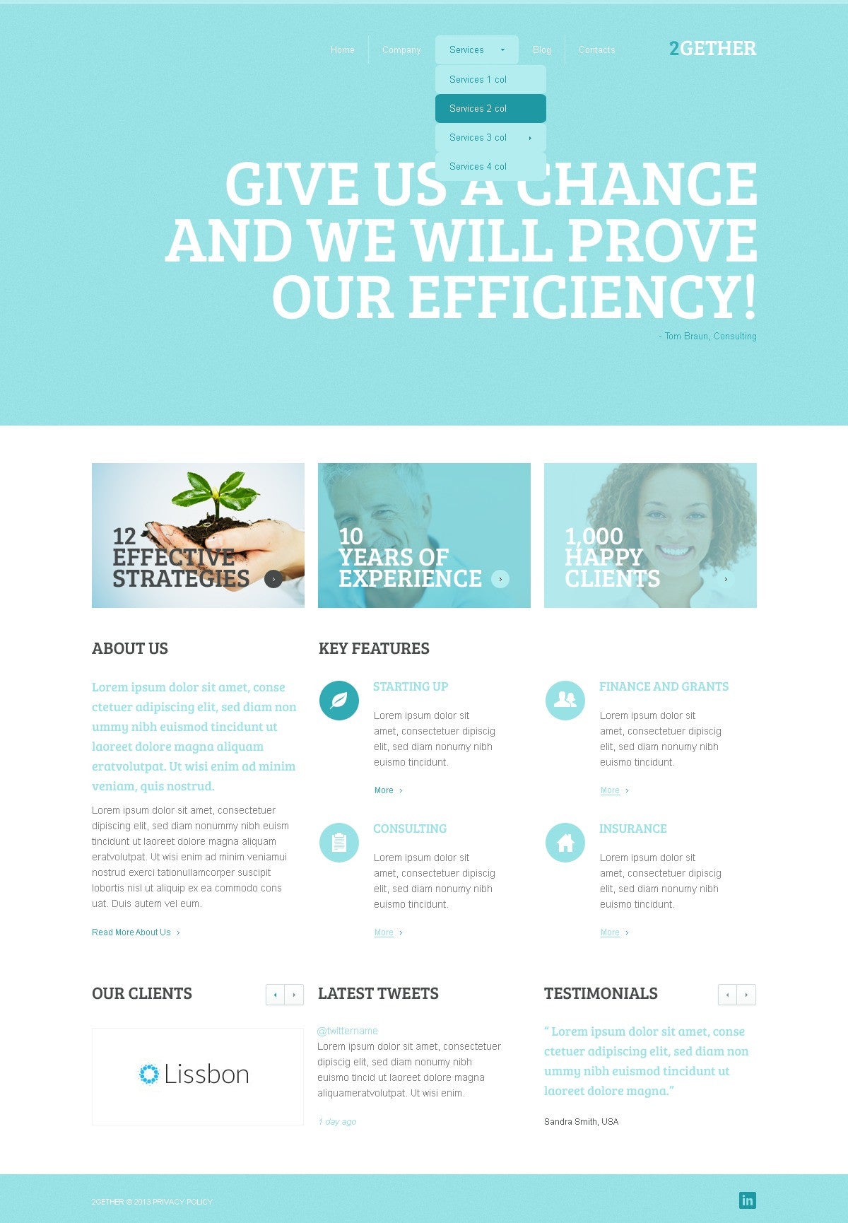 WordPress Themes - GoWebBaby.Com