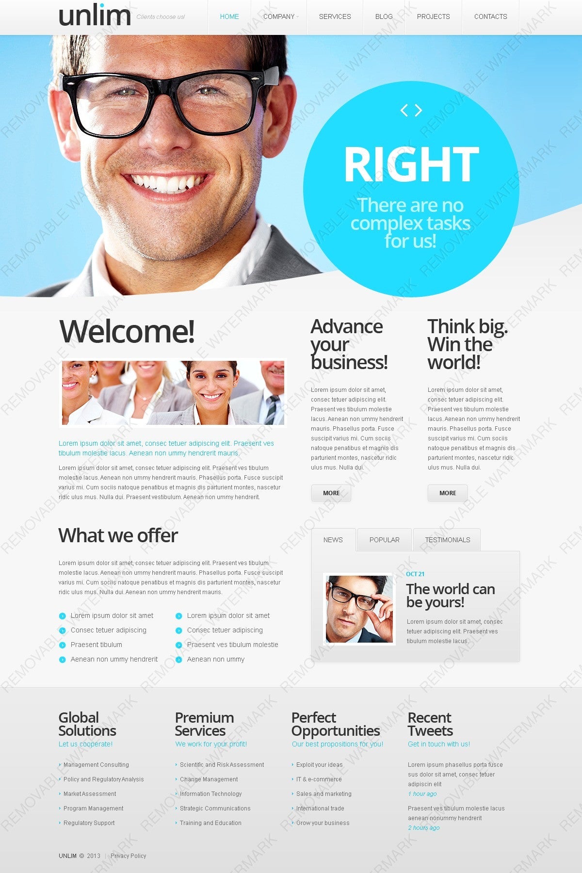 WordPress Themes - GoWebBaby.Com
