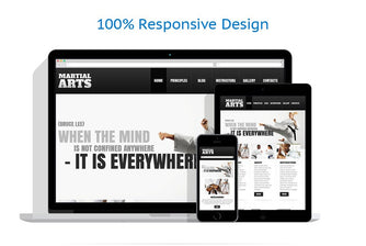 WordPress Themes - GoWebBaby.Com