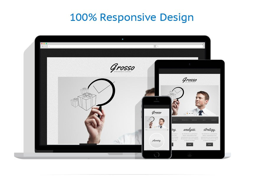 WordPress Themes - GoWebBaby.Com