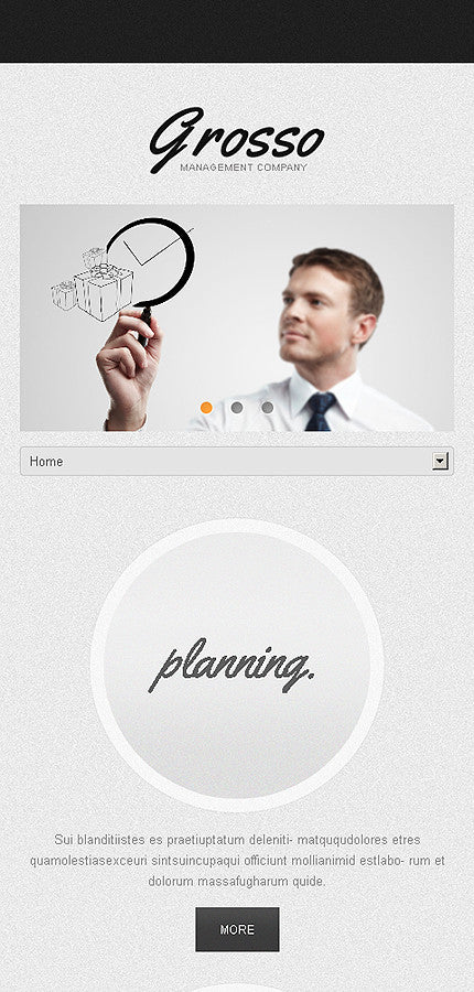 WordPress Themes - GoWebBaby.Com