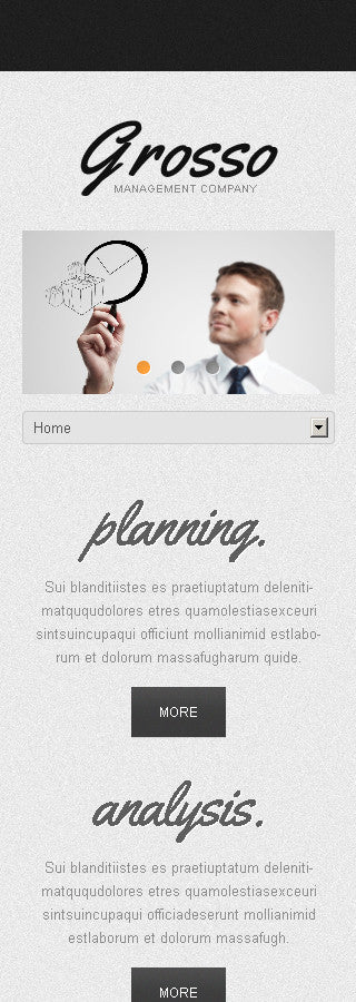 WordPress Themes - GoWebBaby.Com