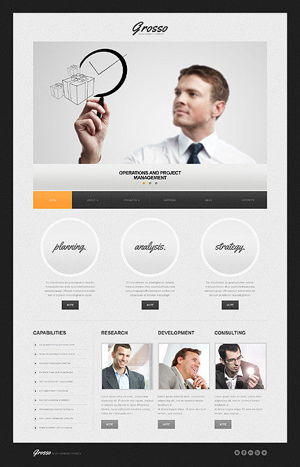 WordPress Themes - GoWebBaby.Com
