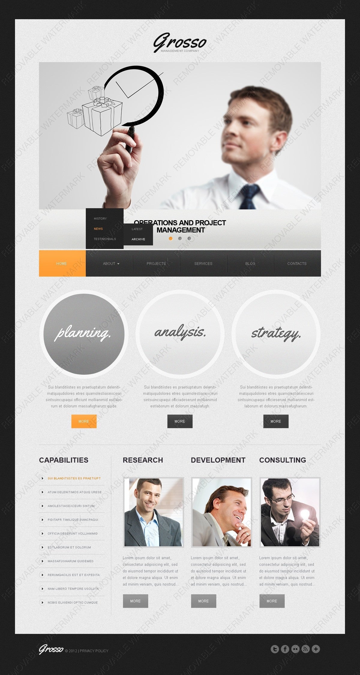 WordPress Themes - GoWebBaby.Com