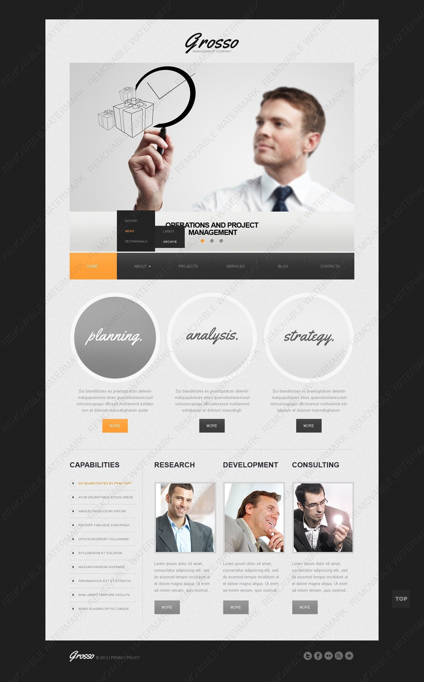 WordPress Themes - GoWebBaby.Com