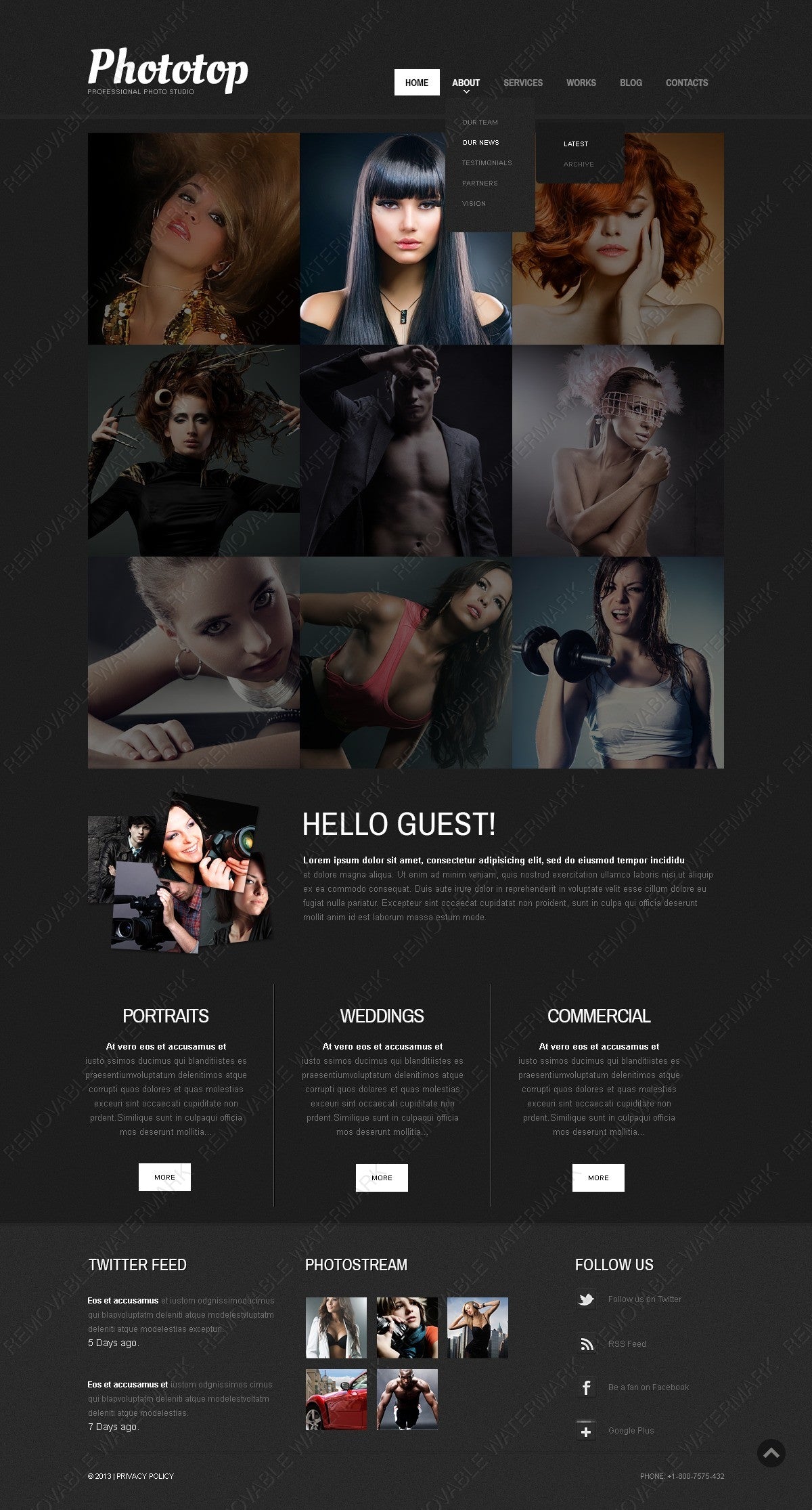 WordPress Themes - GoWebBaby.Com
