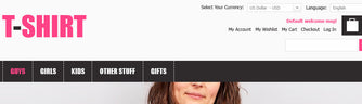 Magento Themes - GoWebBaby.Com