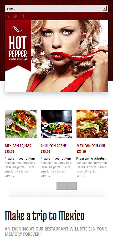 WordPress Themes - GoWebBaby.Com