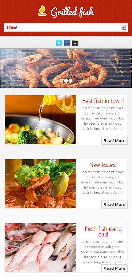 WordPress Themes - GoWebBaby.Com