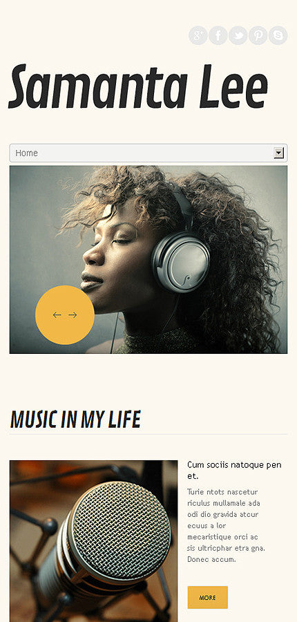 WordPress Themes - GoWebBaby.Com