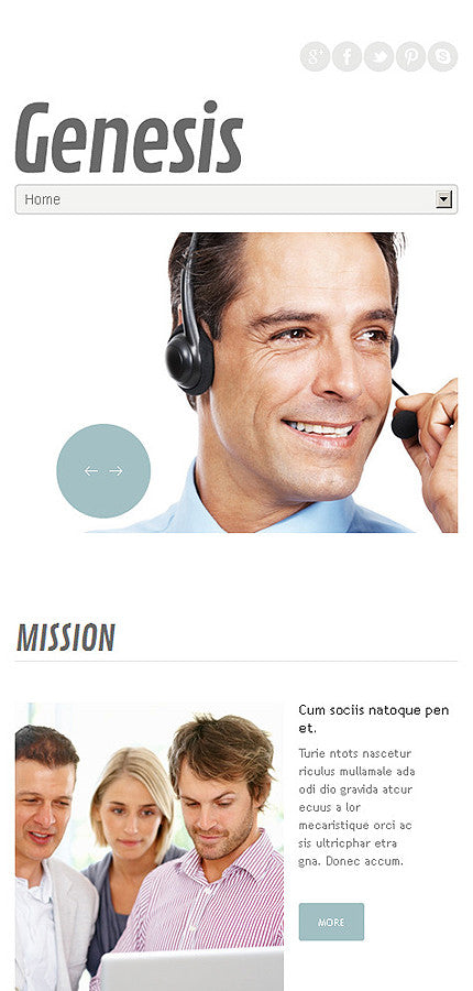 WordPress Themes - GoWebBaby.Com