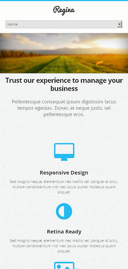 WordPress Themes - GoWebBaby.Com