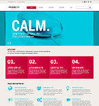 WordPress Themes - GoWebBaby.Com