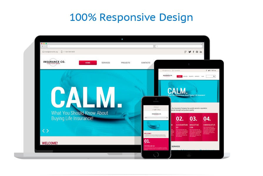 WordPress Themes - GoWebBaby.Com