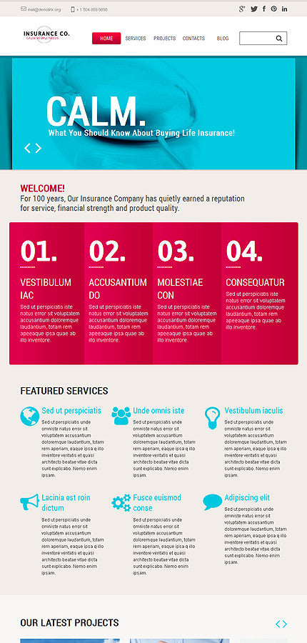 WordPress Themes - GoWebBaby.Com