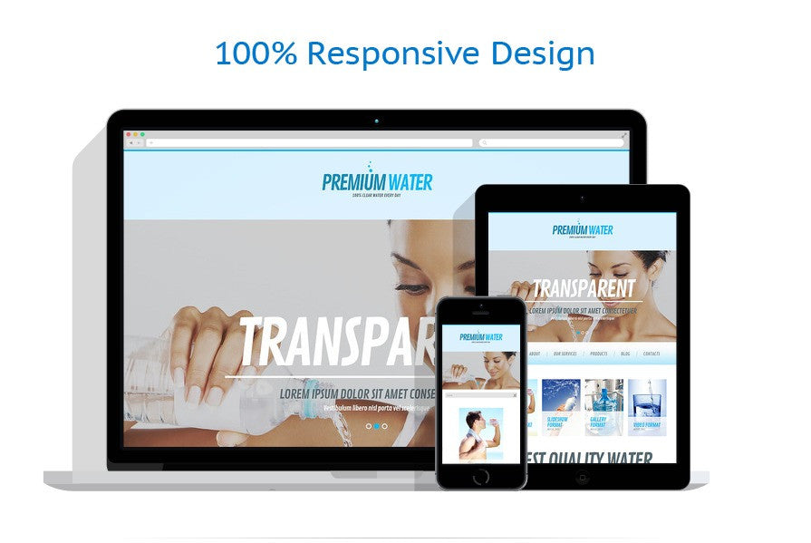 WordPress Themes - GoWebBaby.Com