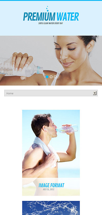 WordPress Themes - GoWebBaby.Com