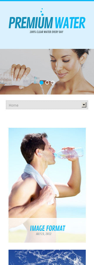 WordPress Themes - GoWebBaby.Com