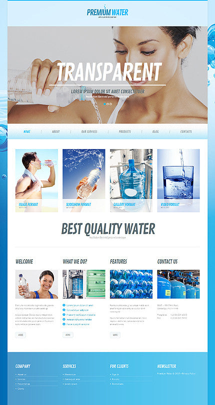 WordPress Themes - GoWebBaby.Com