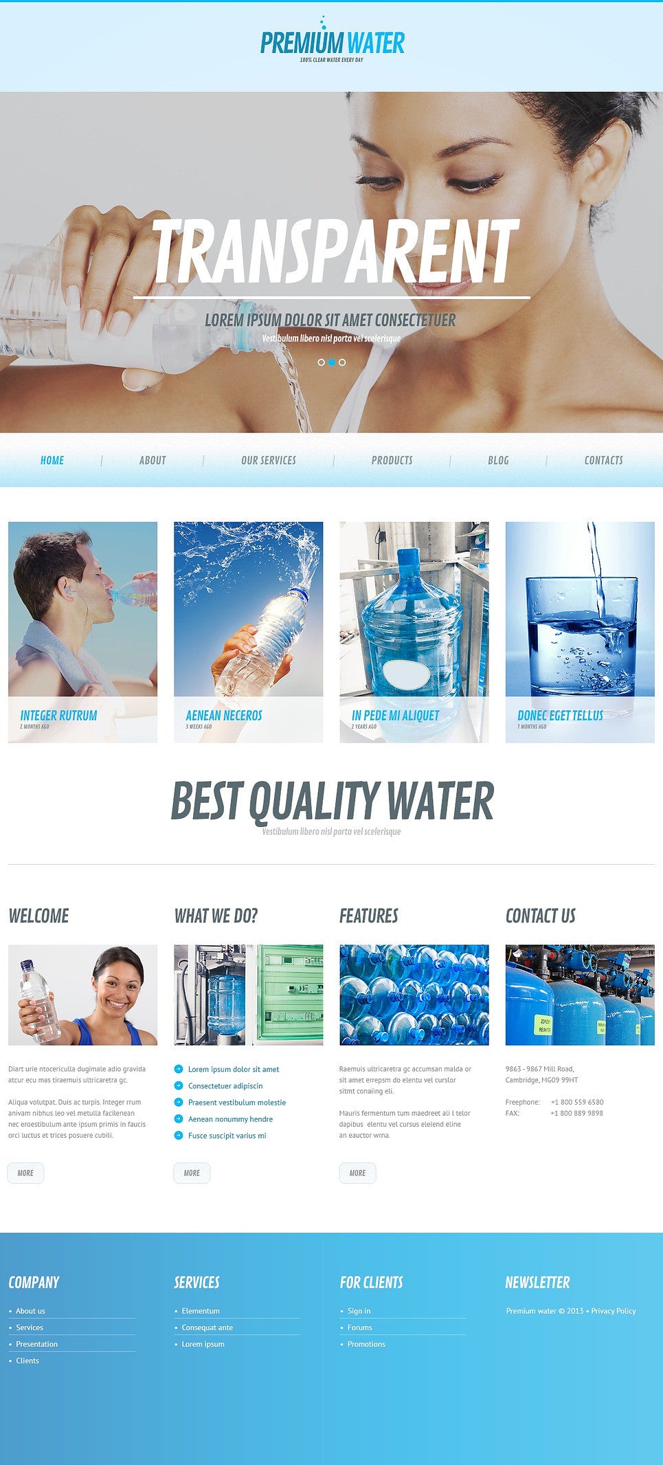 WordPress Themes - GoWebBaby.Com