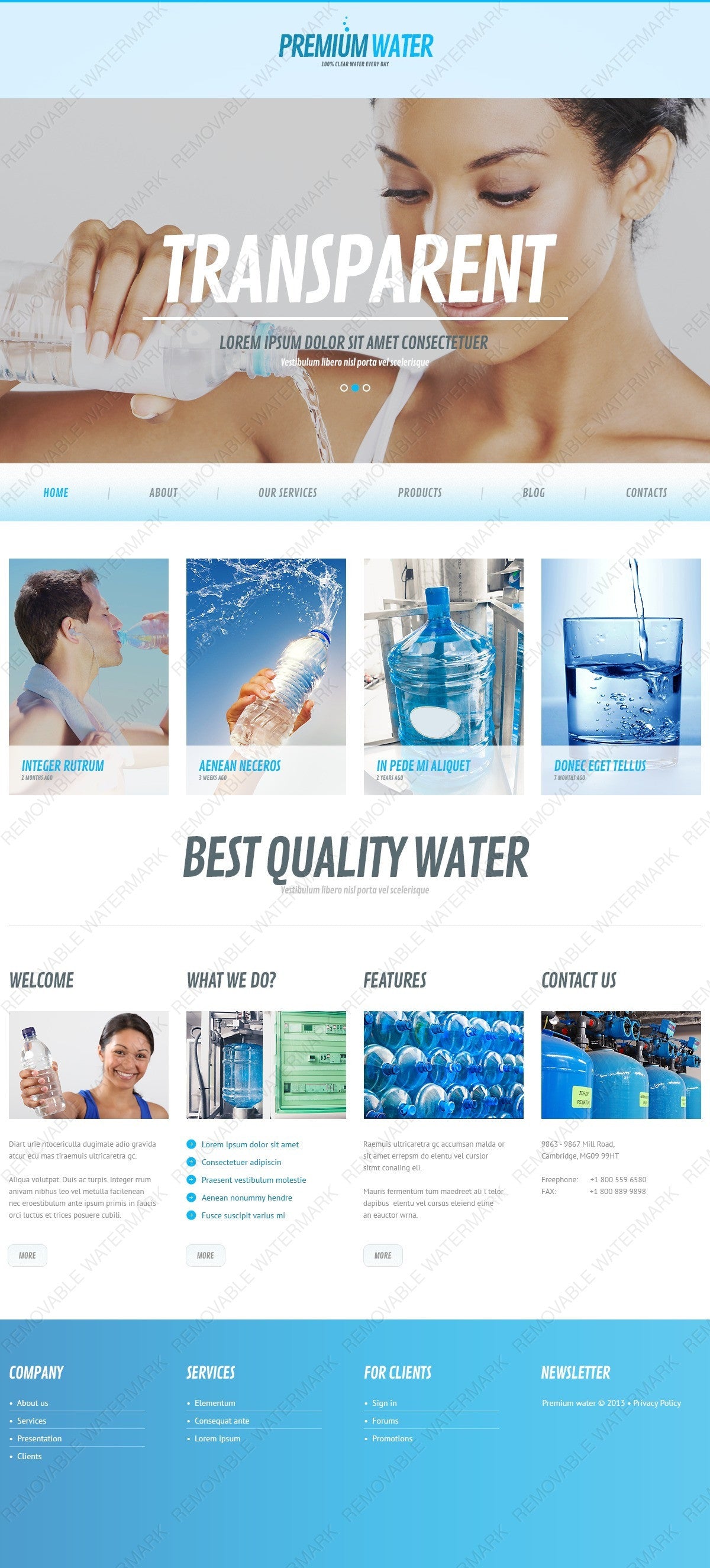 WordPress Themes - GoWebBaby.Com