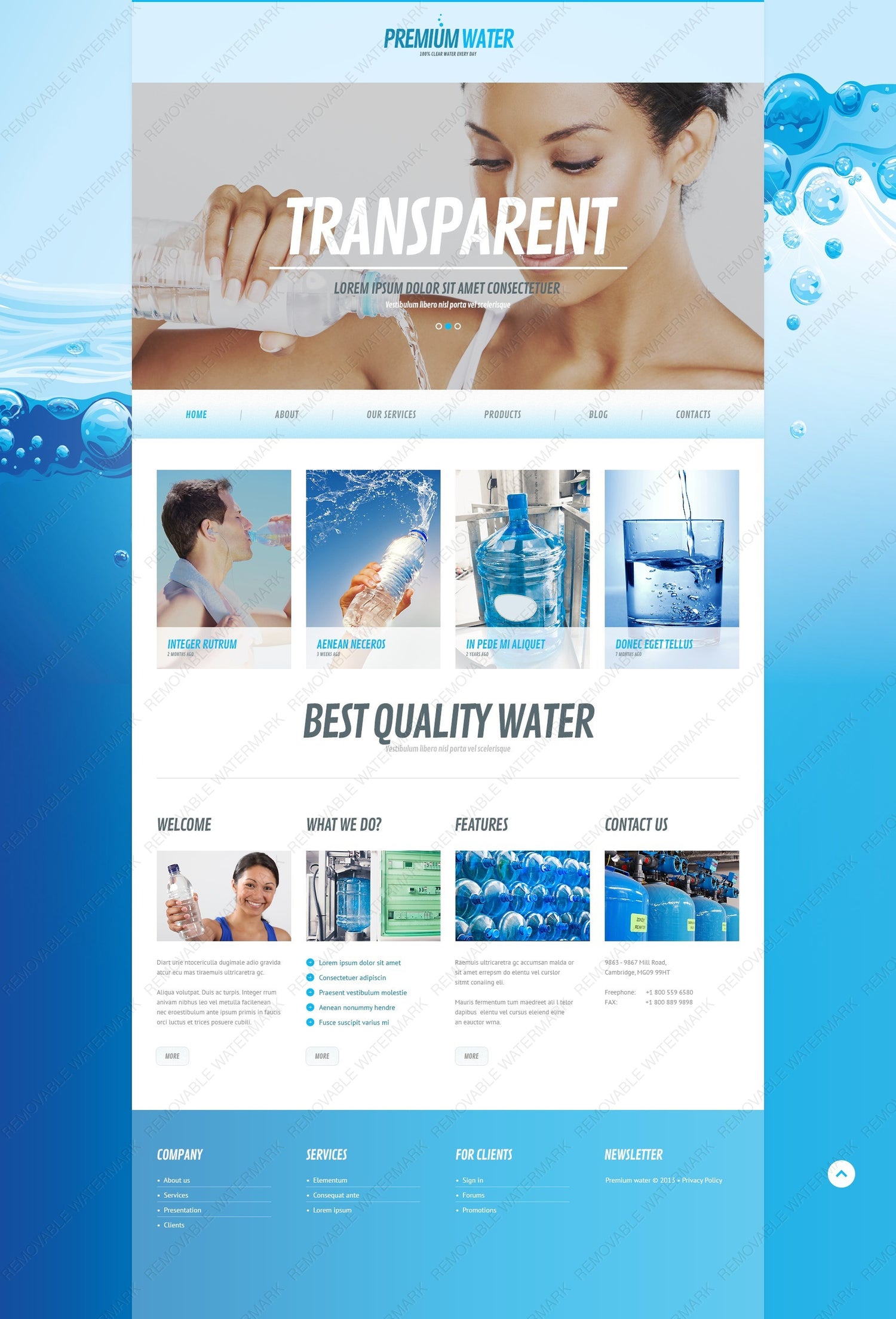 WordPress Themes - GoWebBaby.Com