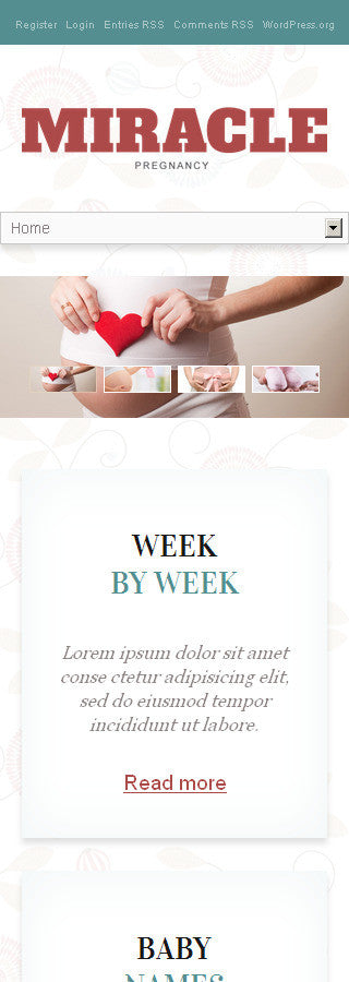 WordPress Themes - GoWebBaby.Com