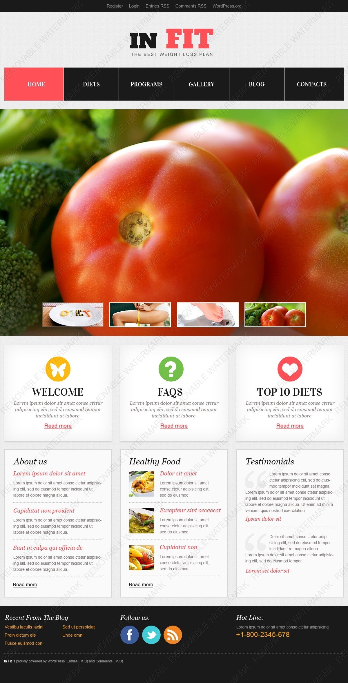 WordPress Themes - GoWebBaby.Com