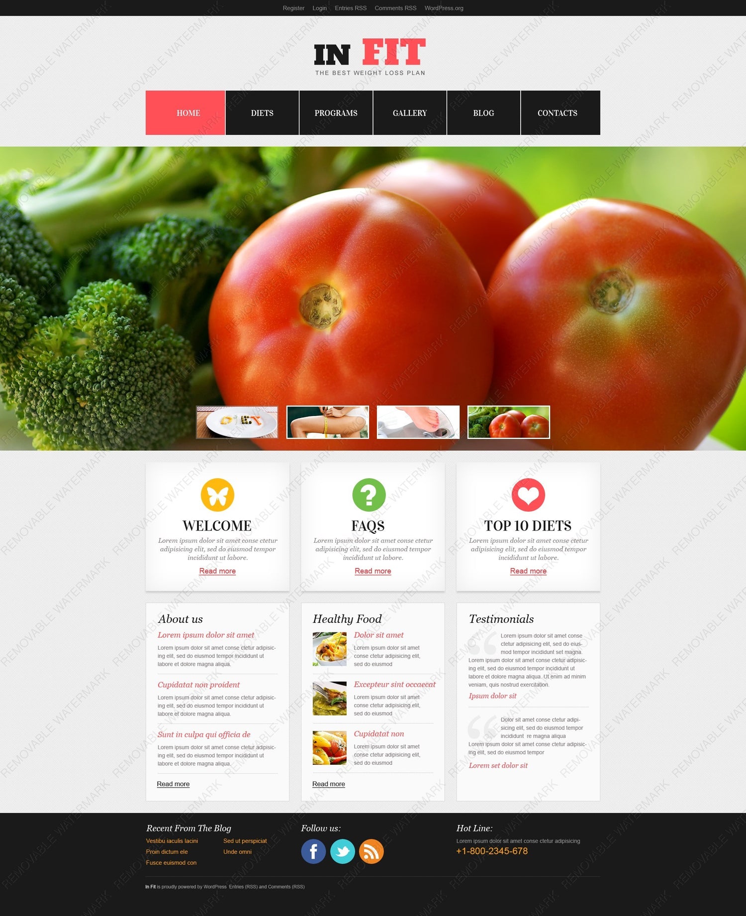 WordPress Themes - GoWebBaby.Com