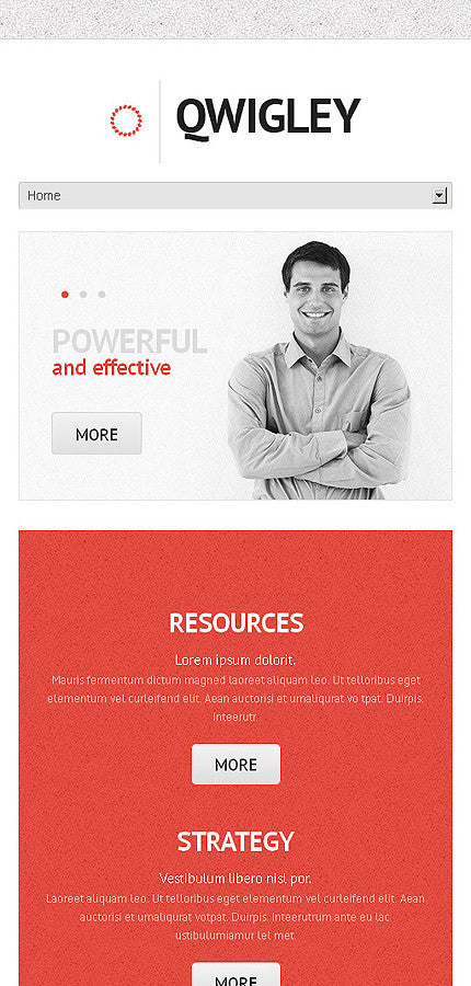 WordPress Themes - GoWebBaby.Com