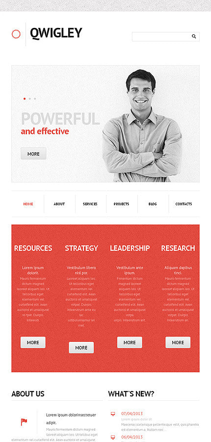 WordPress Themes - GoWebBaby.Com