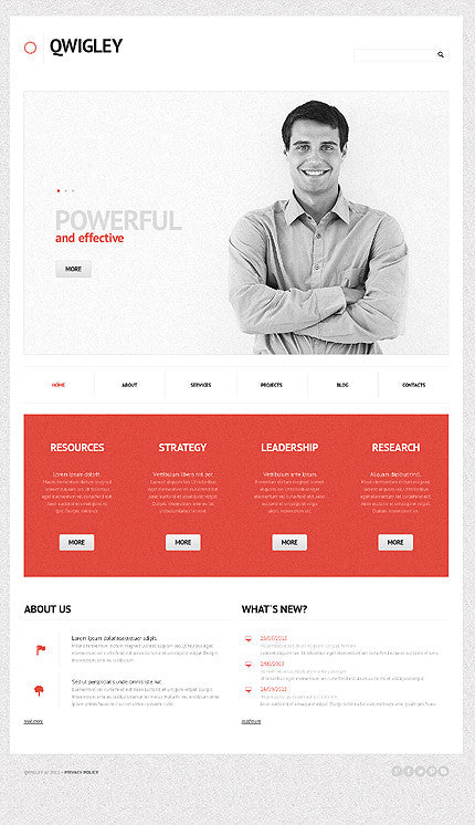 WordPress Themes - GoWebBaby.Com