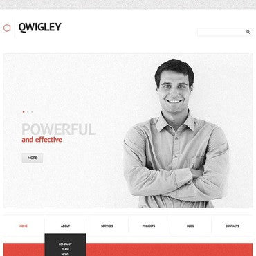 WordPress Themes - GoWebBaby.Com