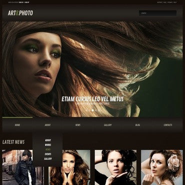 WordPress Themes - GoWebBaby.Com
