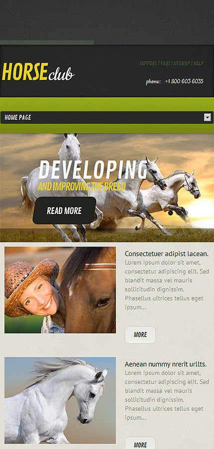 WordPress Themes - GoWebBaby.Com