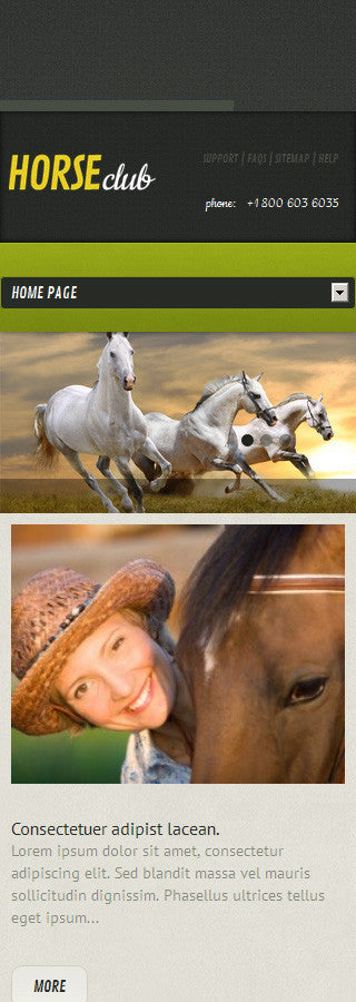 WordPress Themes - GoWebBaby.Com