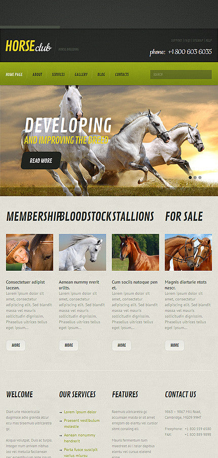 WordPress Themes - GoWebBaby.Com