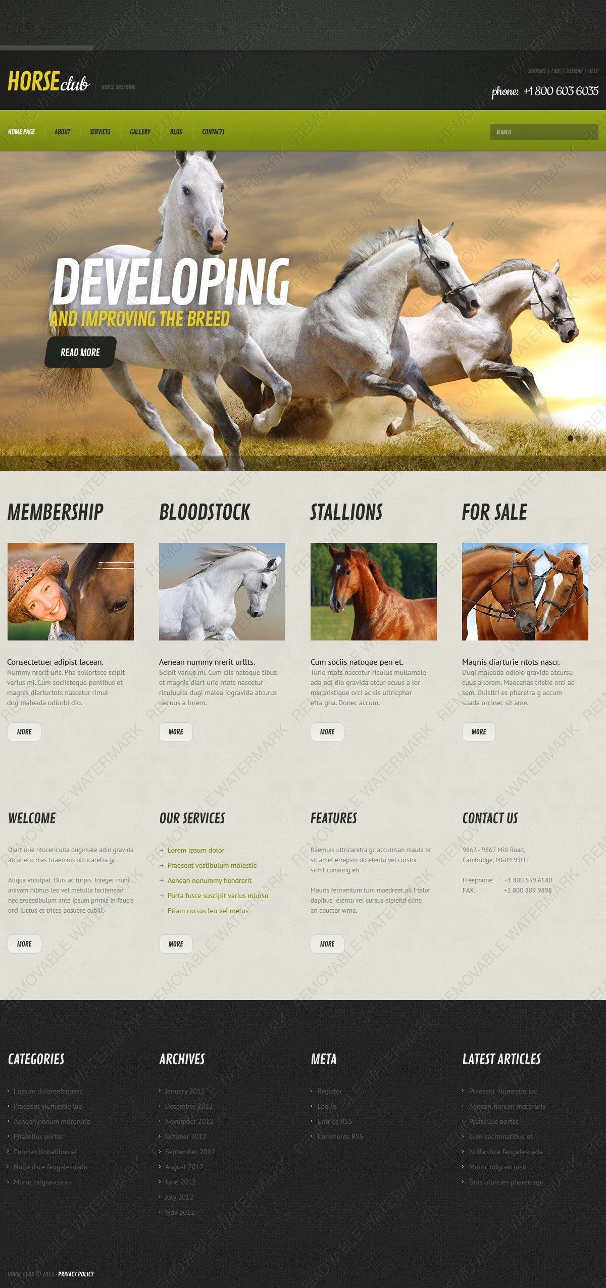 WordPress Themes - GoWebBaby.Com