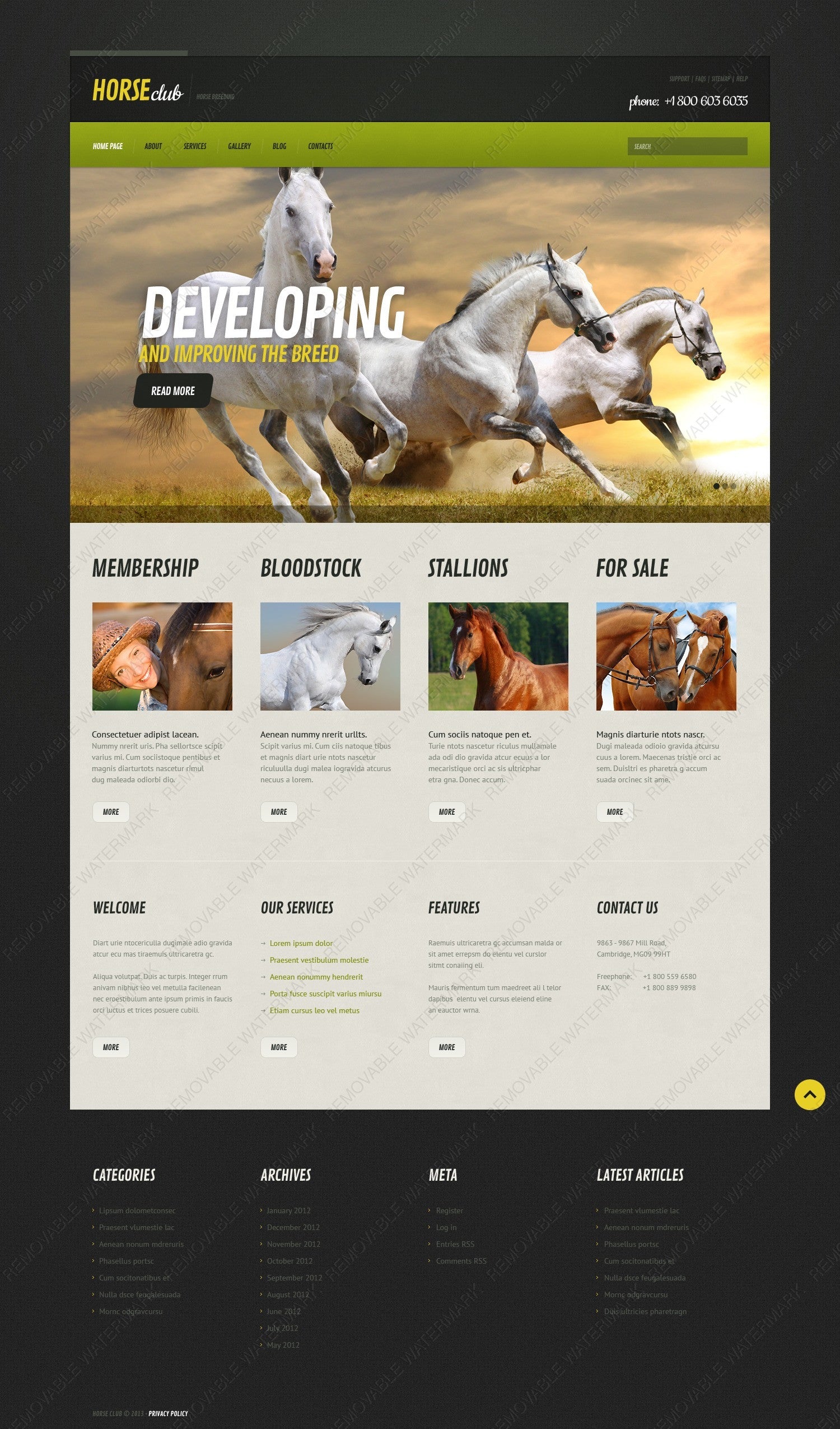 WordPress Themes - GoWebBaby.Com