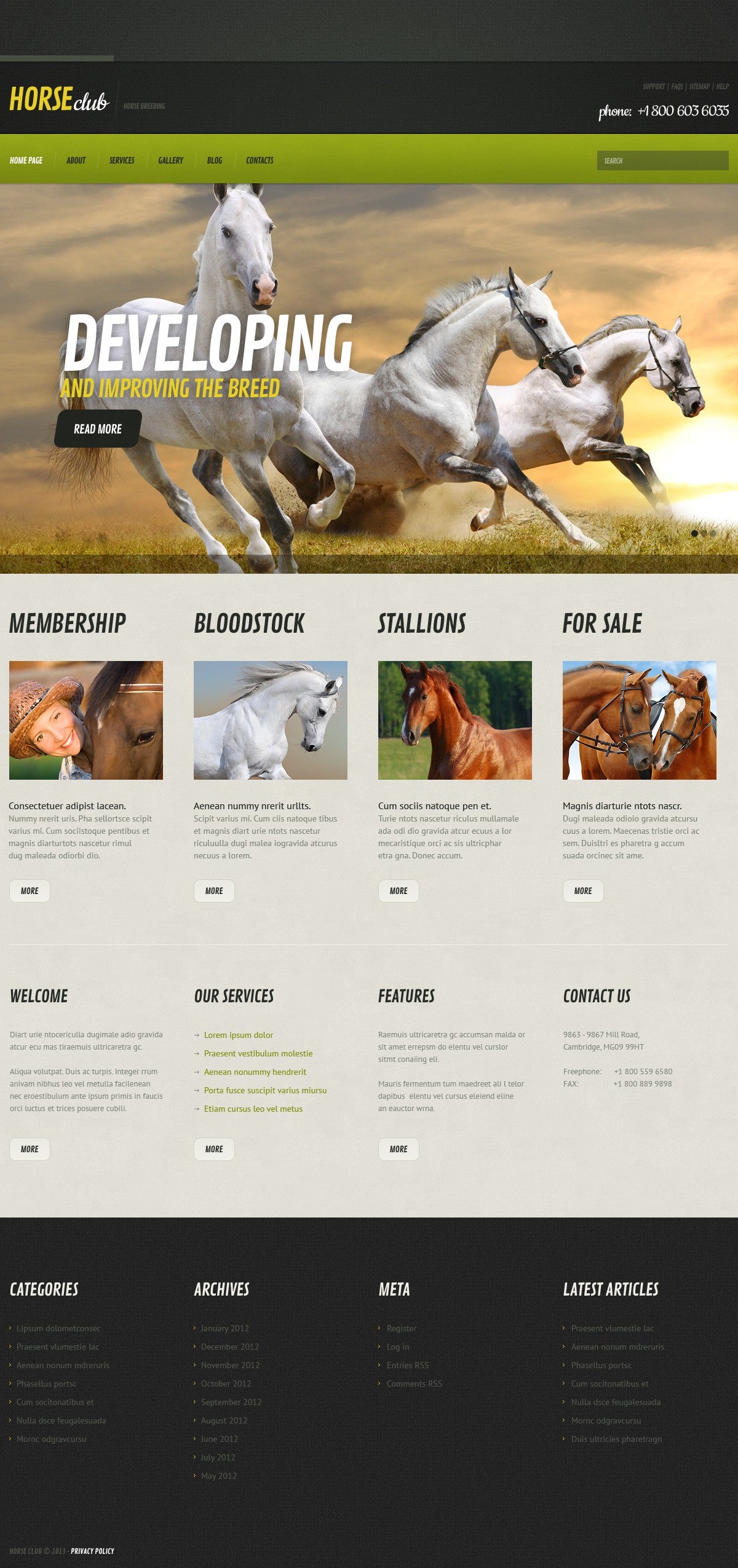 WordPress Themes - GoWebBaby.Com
