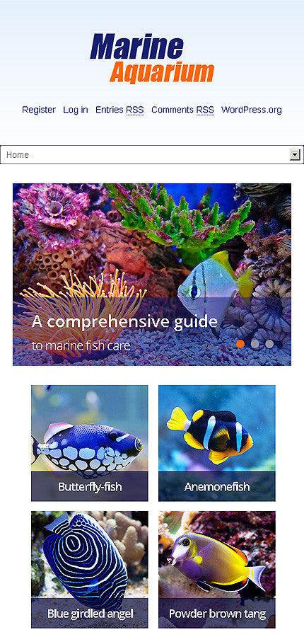 WordPress Themes - GoWebBaby.Com