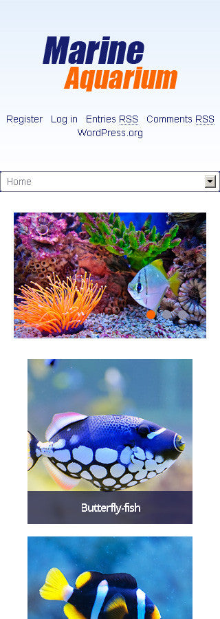 WordPress Themes - GoWebBaby.Com