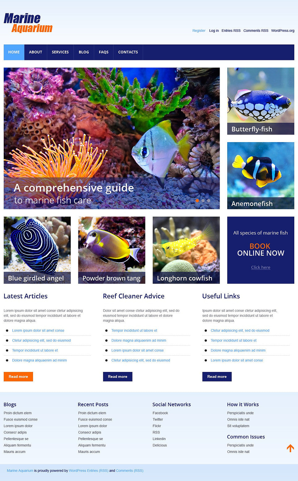 WordPress Themes - GoWebBaby.Com