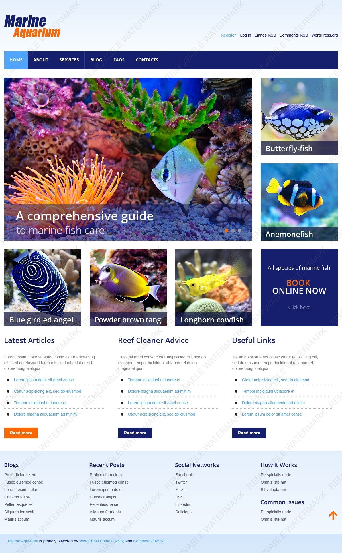 WordPress Themes - GoWebBaby.Com