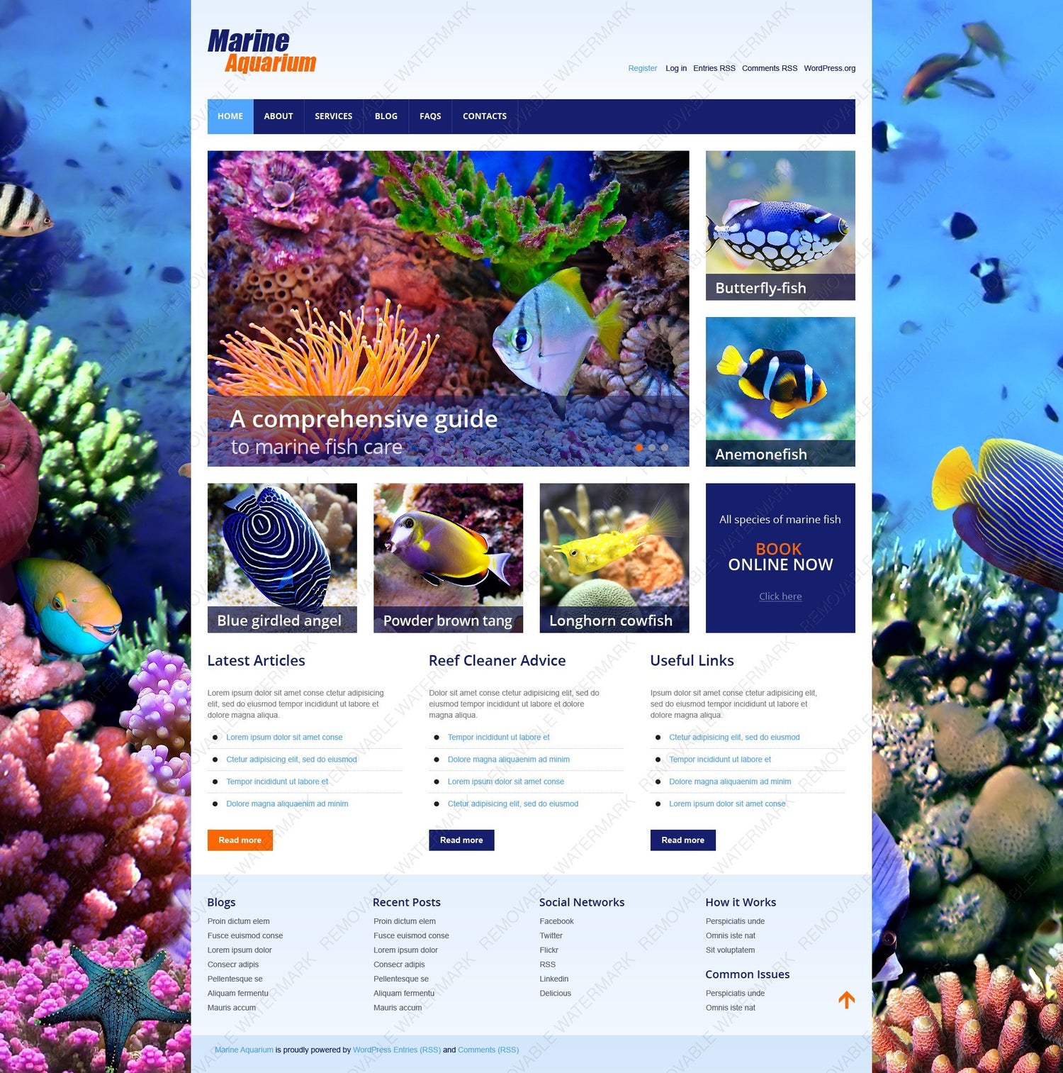 WordPress Themes - GoWebBaby.Com