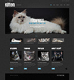WordPress Themes - GoWebBaby.Com